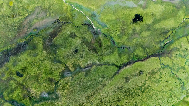 aerial view of wetland - Powered by Adobe
