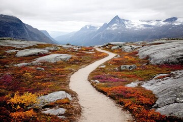 Autumnal mountain path winds through vibrant landscape