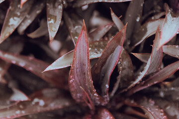 Bright and Colorful Scenery Stunning Visual Art