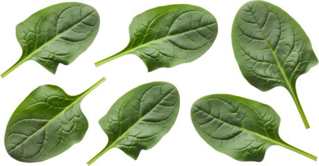 Six Vibrant Green Spinach Leaves With Distinct Veins And Stems Isolated On A Transparent Background For Isolate
