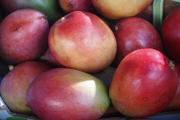 Fresh mangoes displayed at a local market in summer