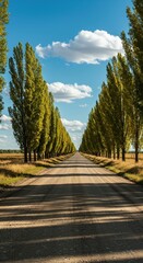 A picturesque dirt road stretches through a vibrant, verdant avenue of tall trees under a sunny sky, creating a serene and tranquil landscape.