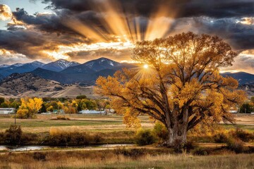 Golden autumn sunbeams pierce a large, vibrant tree over a valley landscape with mountains in the background