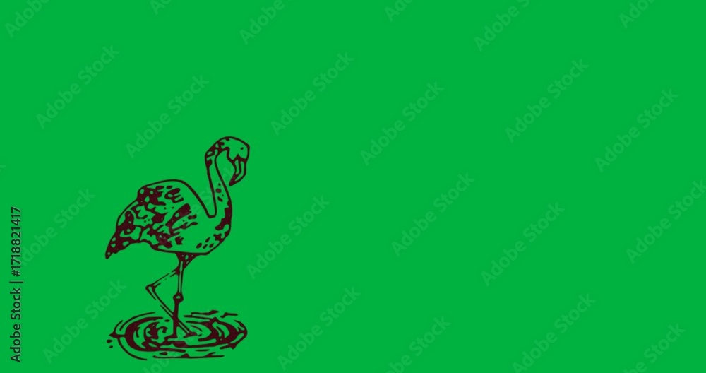 Poster three red flamingo shapes standing on ripples transparent background showing graphic design motif