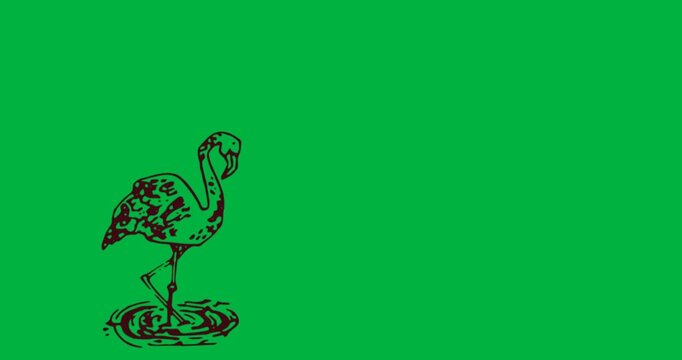 Three red flamingo shapes standing on ripples transparent background showing graphic design motif