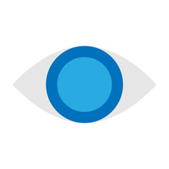 Vision Vector Flat Icon Design