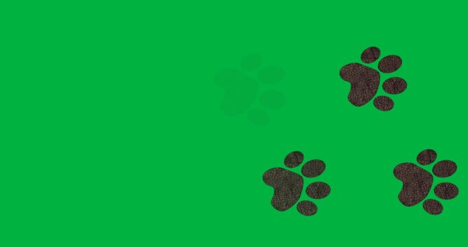 Featuring cracked leather paw print floating on transparent background, showing technology branding