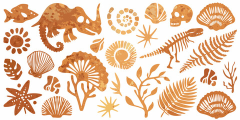 Collection of ancient fossils and prehistoric elements in warm orange tones on a white background © Bivuti