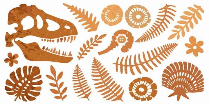 Collection of illustrated dinosaur skull fossils and prehistoric plants in earthy tones on a white background