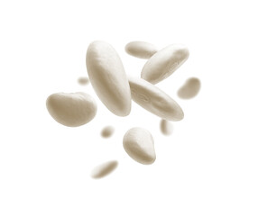 White beans levitate on a white background