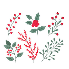 Christmas Berries and Leaves Vector Set