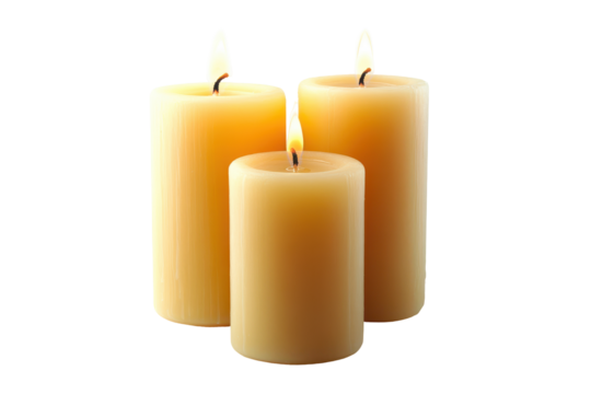 Lit beeswax pillar candles isolated on transparent background. Pillar candles with flames illuminated isolated on white background.