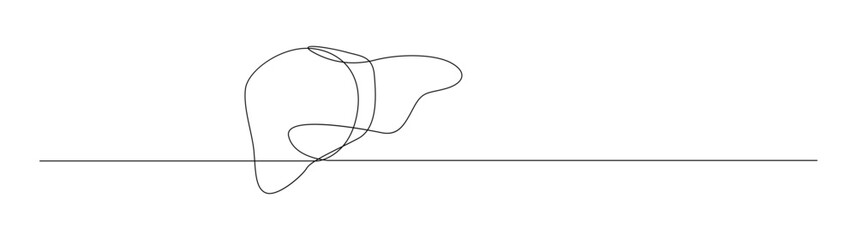 Human Liver One Line Art, Continuous Contour