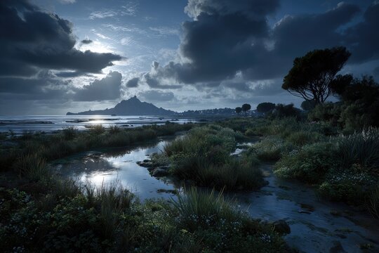Coastal marsh at dawn, a tranquil scene with a mountain silhouette in the distance, dramatic clouds