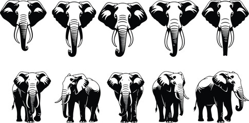Fototapeta premium Collection of elegant elephant illustrations, black and white animal graphics, wildlife vector art, perfect for logos, tattoos, designs, and nature themes