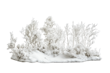 Miniature snowy forest scene with frosted trees isolated on transparent background. White snow landscape isolated on white background.