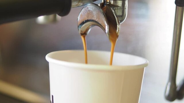 Barista extracts espresso in local coffee shop