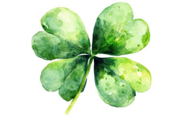 Green four leaf clover isolated on transparent background. Watercolor green four leaf isolated on white background.
