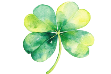 Green four leaf clover isolated on transparent background. Watercolor green four leaf isolated on white background.