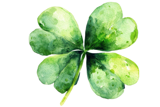 Green four leaf clover isolated on transparent background. Watercolor green four leaf isolated on white background.