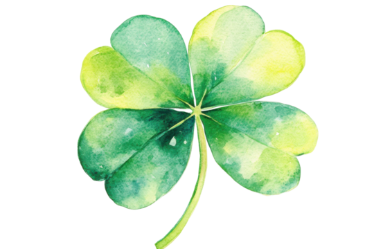 Green four leaf clover isolated on transparent background. Watercolor green four leaf isolated on white background.