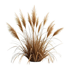 Fototapeta premium Pampas Grass Decorative Plant, Generative AI