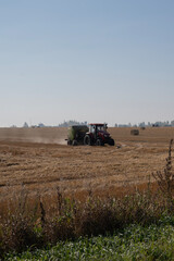 Naklejka premium harvesting wheat fields in haystacks
