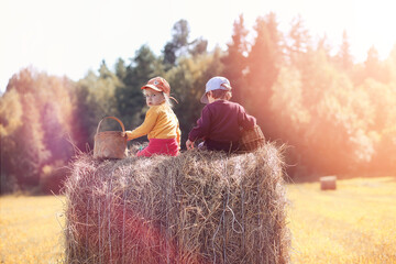 Children in the village walk through the autumn forest and gather mushrooms. Children in nature are walking in nature. Rural walk in autumn.