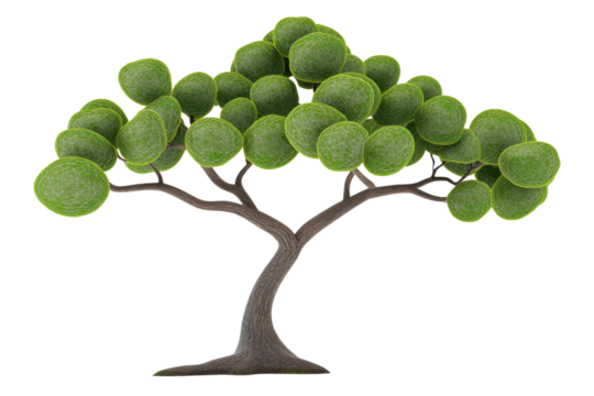 Stylized miniature green tree isolated on transparent background. Delightful cartoon tree featuring round puffy green leaves and a minimalistic style isolated on white background.