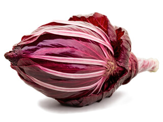 Obraz premium Radicchio (Cichorium intybus) A fresh head of radicchio wrapped in clear plastic. The deep red leaves are visible through the