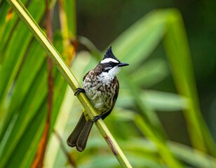 Bird perched on palm frond