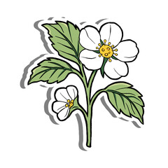 Hand Drawn Cute Strawberry Flowers with Leaves on White Silhouette and Gray Shadow. Vector Illustration about Nature.