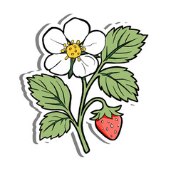 Hand Drawn Strawberry Flower with Leaves on White Silhouette and Gray Shadow. Vector Illustration about Nature.