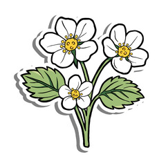 Hand Drawn Three Strawberry Flowers with Leaves on White Silhouette and Gray Shadow. Vector Illustration about Nature.