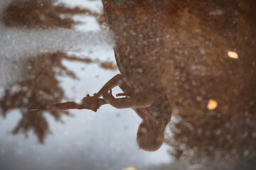 Fototapety na wymiar - Fototapeta24.pl