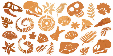 Collection of stylized dinosaur skulls fossils plants and shells in earthy tones on white background
