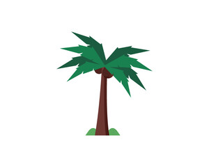Coconut Palm Tree Vector 