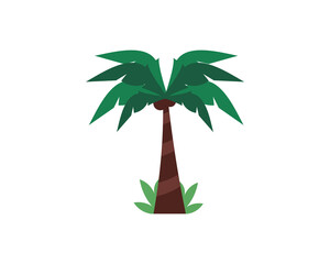 Coconut Palm Tree Vector