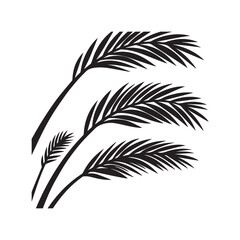 Obraz premium A set of black palm branch silhouettes isolated on a white background.