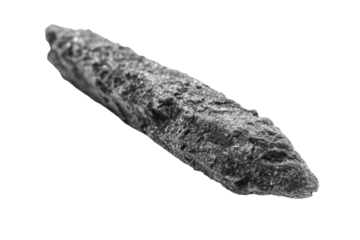 Gray, elongated, textured object
