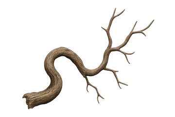 Twisted dry tree branch with gnarled structure and bare limbs, representing nature, death, and decay