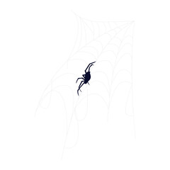 Hand-Drawn Spider Web and Arachnid Illustrations