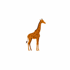 Fototapeta premium Illustration of a Giraffe Standing Gracefully on a Clean White Background with Soft Shadows Highlighting Its Long Neck and Distinctive Patterns