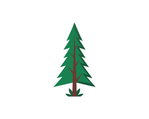 Pine Tree Vector Illustration