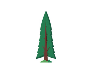Pine Tree Vector Illustration