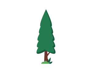 Pine Tree Vector Illustration