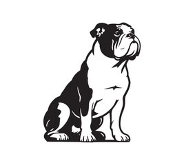 English Bulldog Sitting