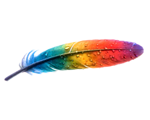 Colorful feathers isolated on white background. Happy teachers day 