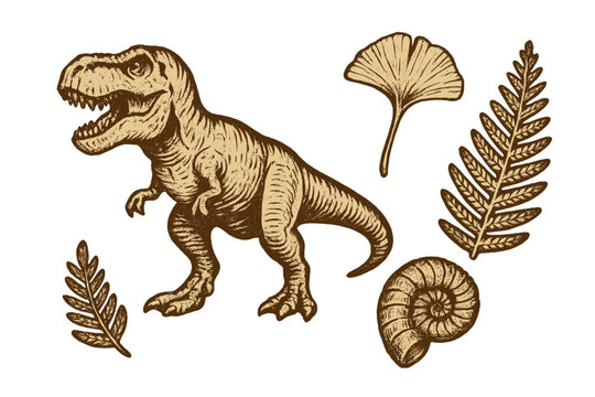 Tyrannosaurus rex dinosaur with ginkgo and fern leaves and ammonite fossil collection, prehistoric life vector illustration, paleontology archeology imprint style art, ancient fossils design