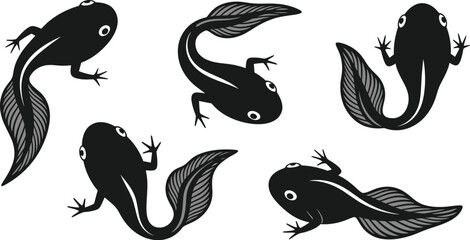 Illustration of several black tadpoles in various orientations editable stock